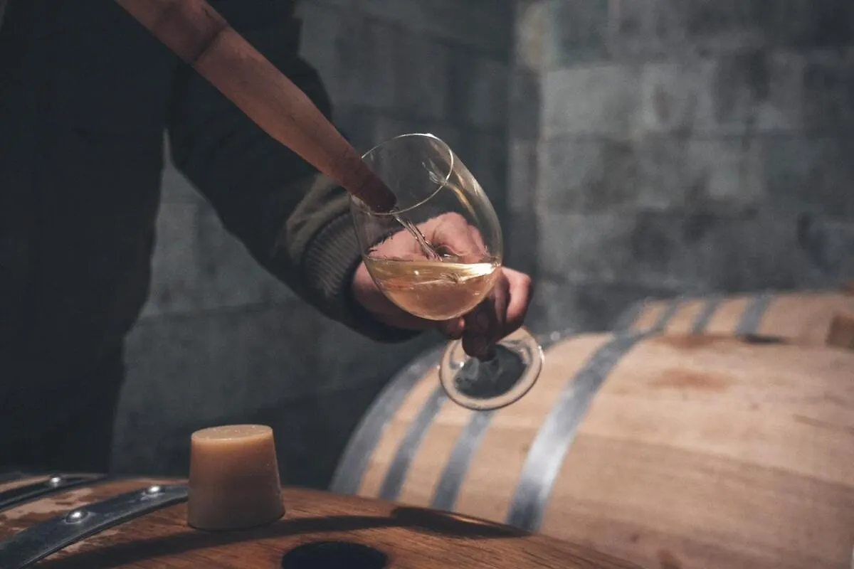 Gite Au Coeur D'Un Domaine Viticole Beaumont-sur-Leze Appartamento
