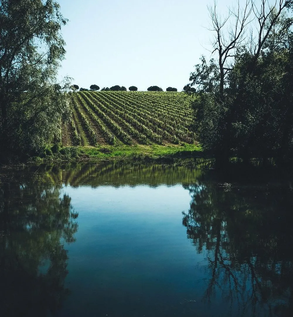 Gite Au Coeur D'Un Domaine Viticole Beaumont-sur-Leze