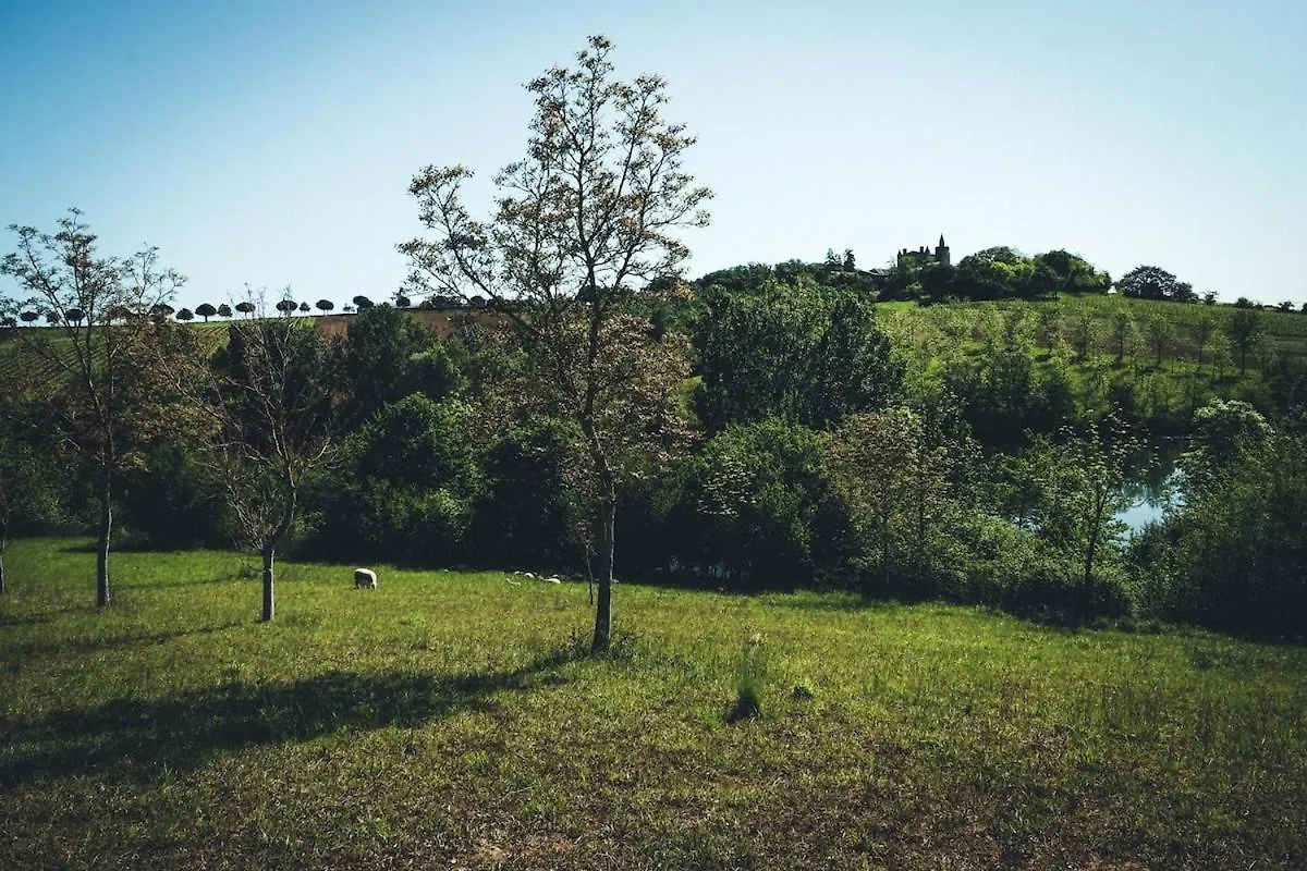 Gite Au Coeur D'Un Domaine Viticole Beaumont-sur-Leze